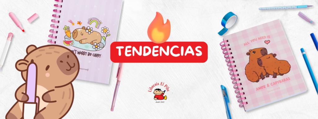 Banner desktop Libreria El Pibe (2)